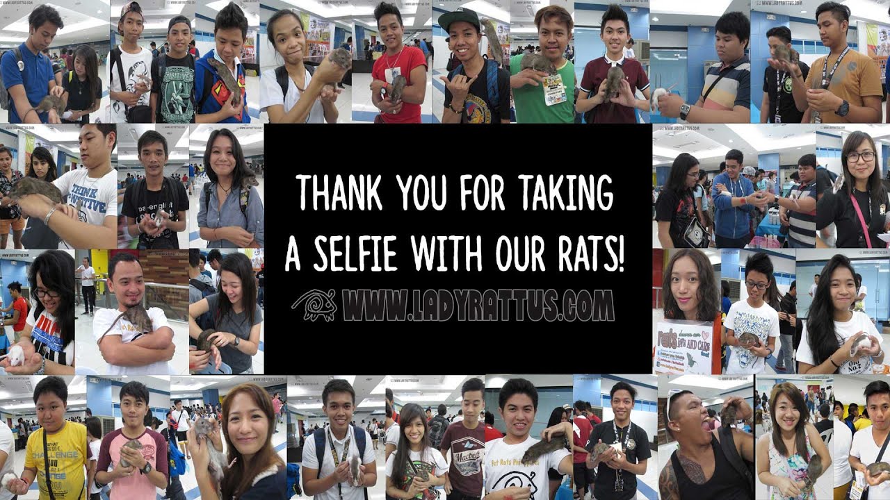 Pet Rats at the 'HCP 1st Anniversary Pet Fair' in Jackman Plaza Munoz (2015)