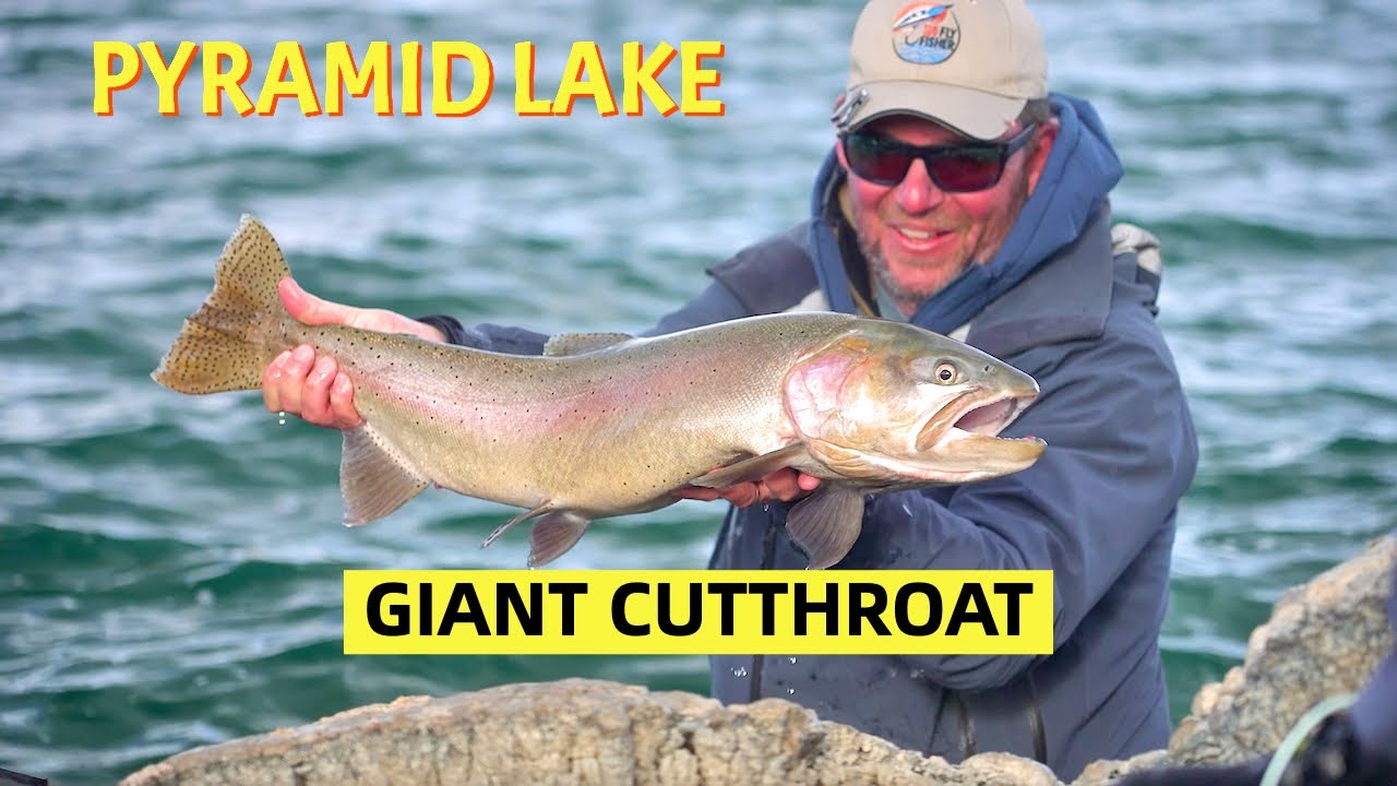 Pyramid Lake Giants