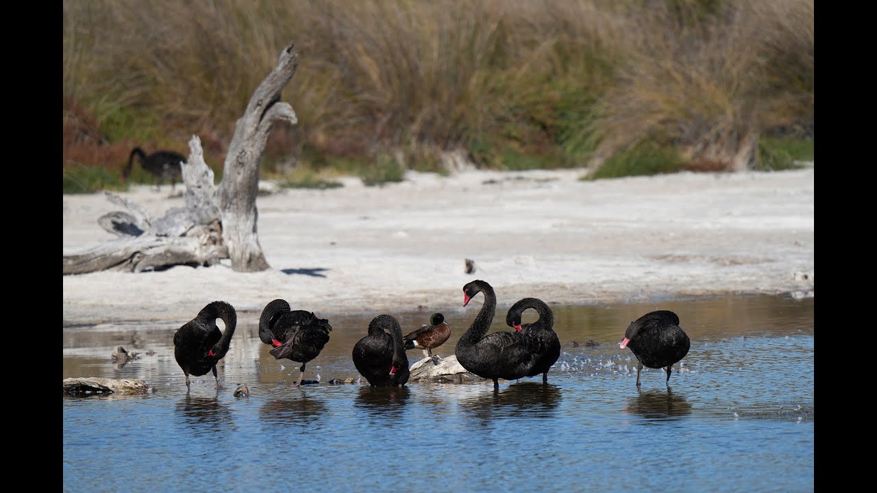 Coorong National Park visit - May 2025