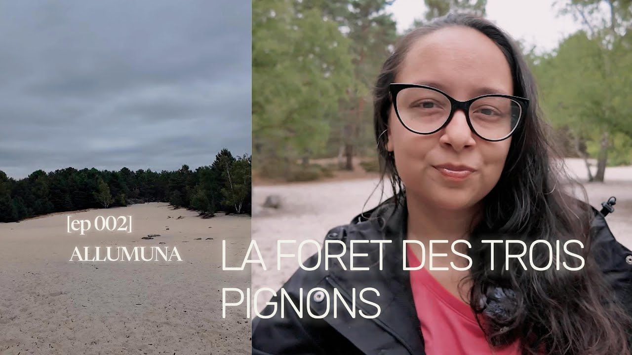 Episode 2 - La Foret des Trois Pignons
