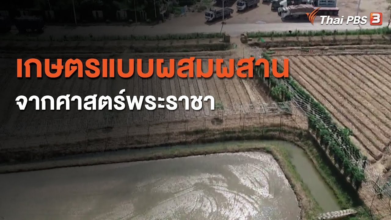 การเกษตรแบบผสมผสานจากศาสตร์พระราชา เพื่อการพัฒนาอย่างยั่งยืน : ประเด็นสังคม (31 ก.ค. 63)