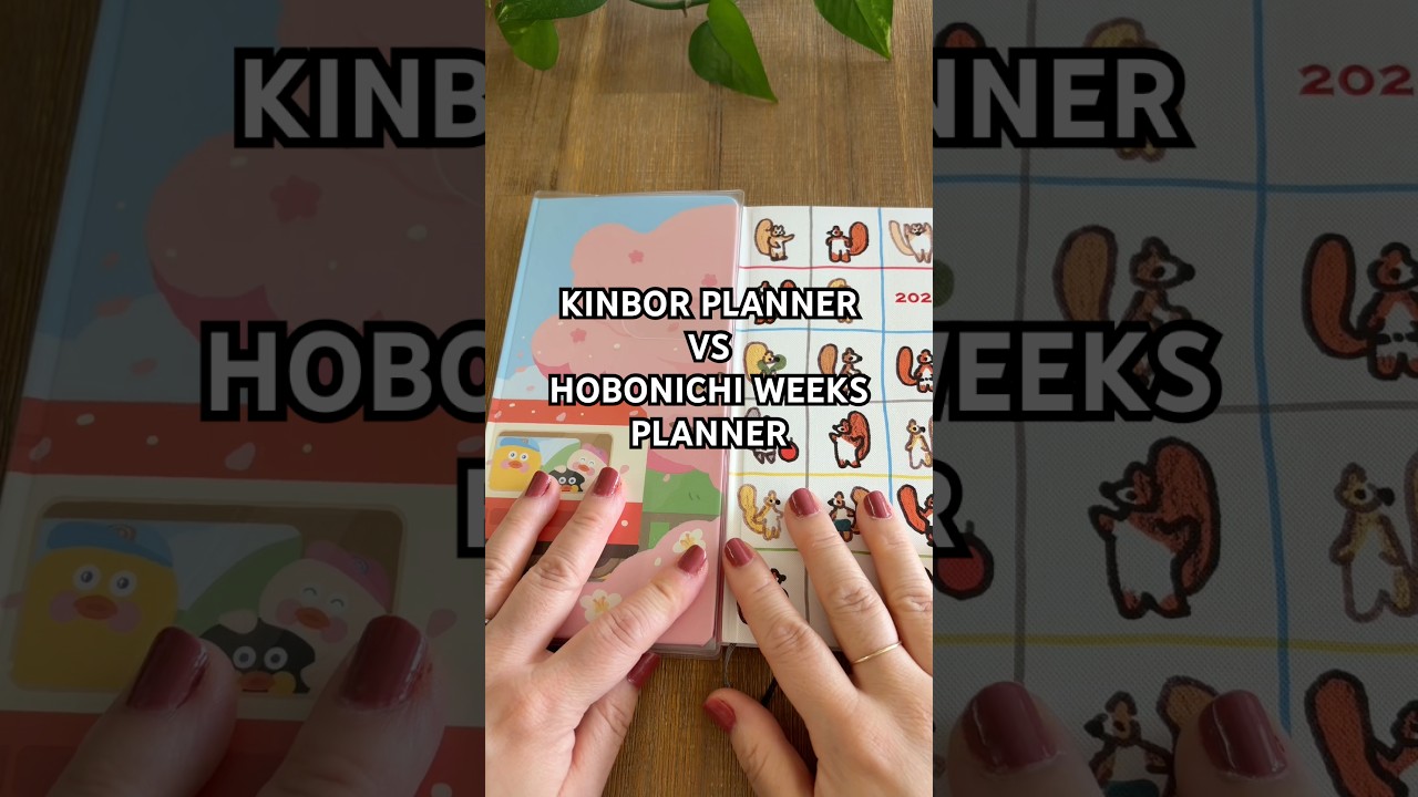 Kinbor VS Hobonichi😆 #kinbor #hobonichi #planneraddict #plannercommunity #aliexpress #planner #haul