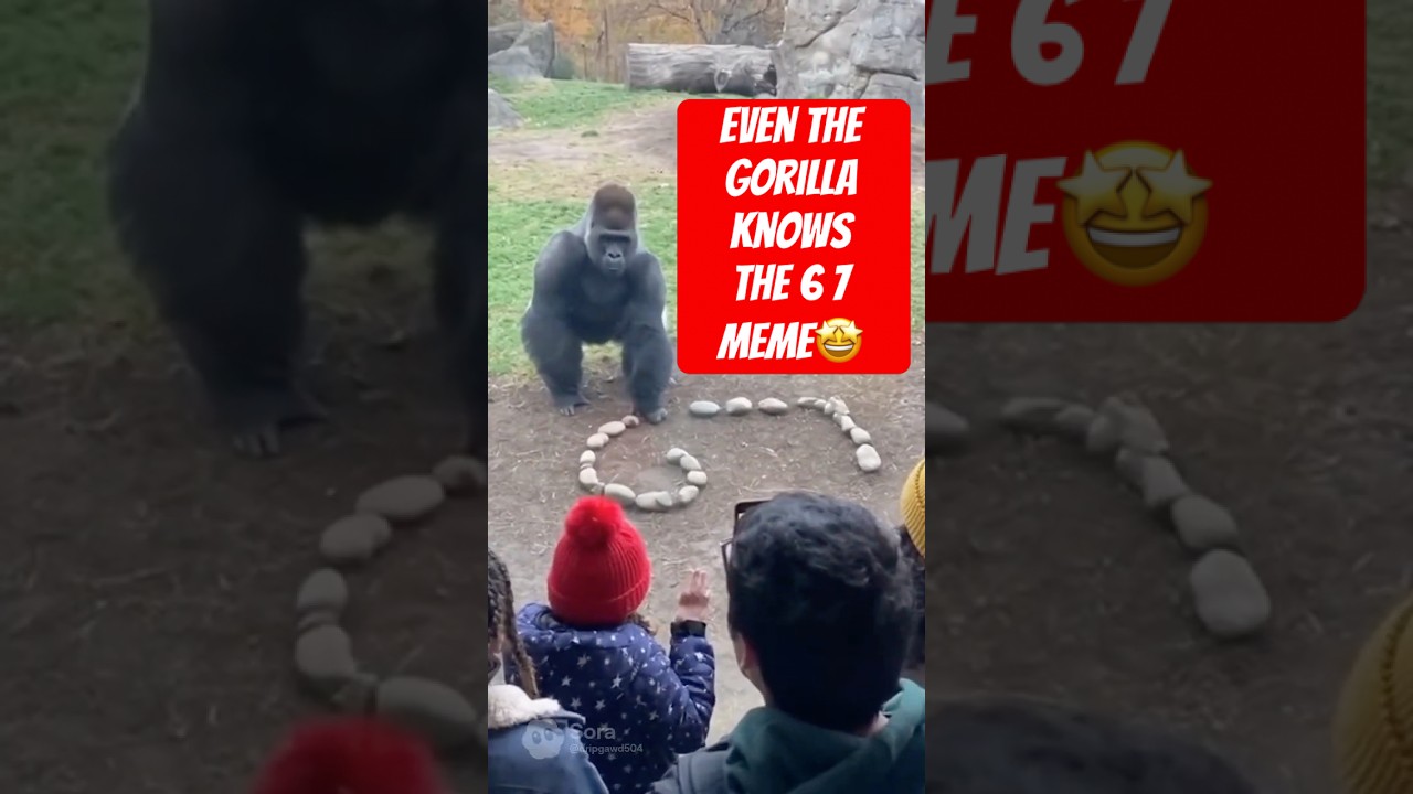 Kto go do tego wyszkolił? #sora2 #śmiesznefilmiki #67meme