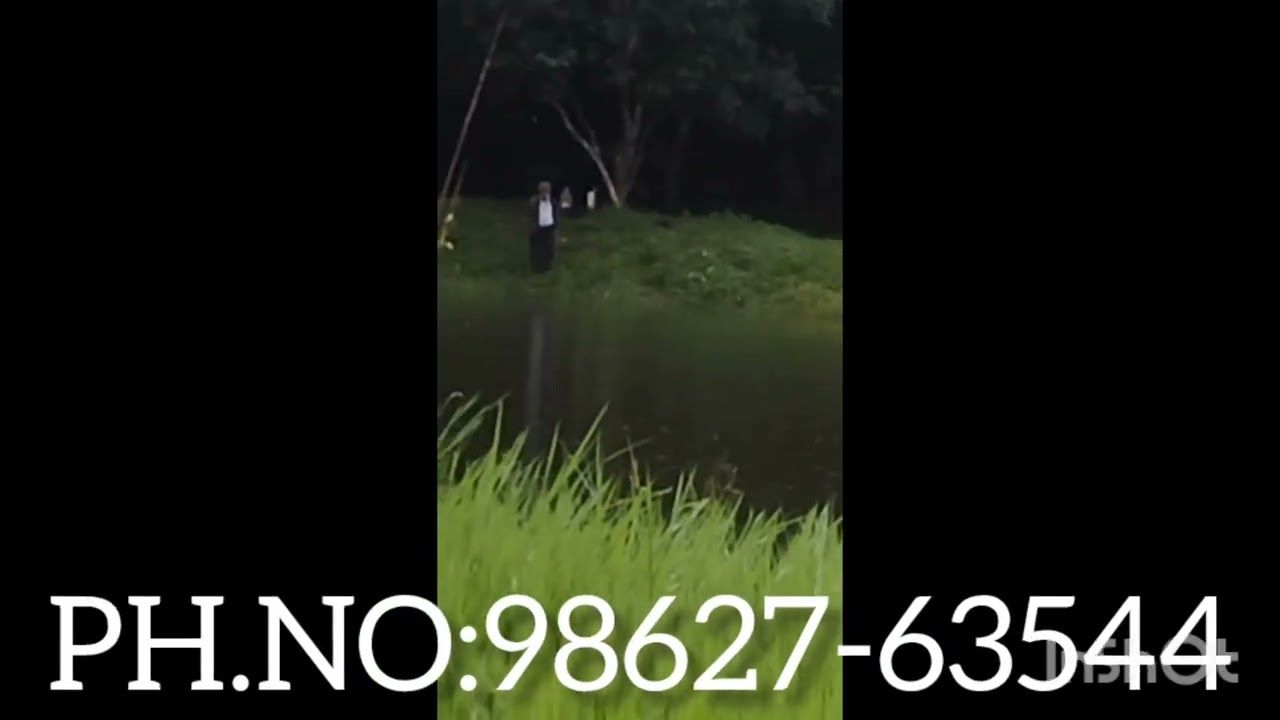 (L) DONKUPAR FISHING POND SHELLA(BELTOLI)PH.NO.98627-63544
