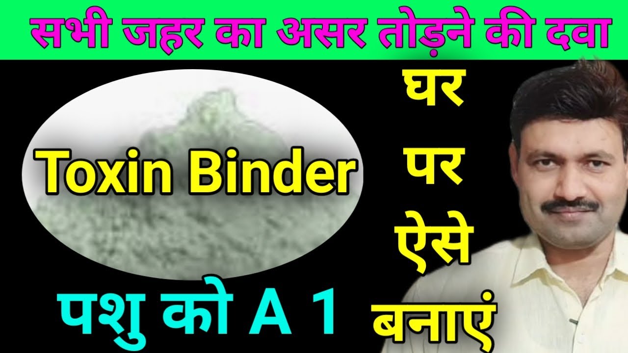 पशु के जहर का इलाज Toxin Binder at Home     by Ramawat