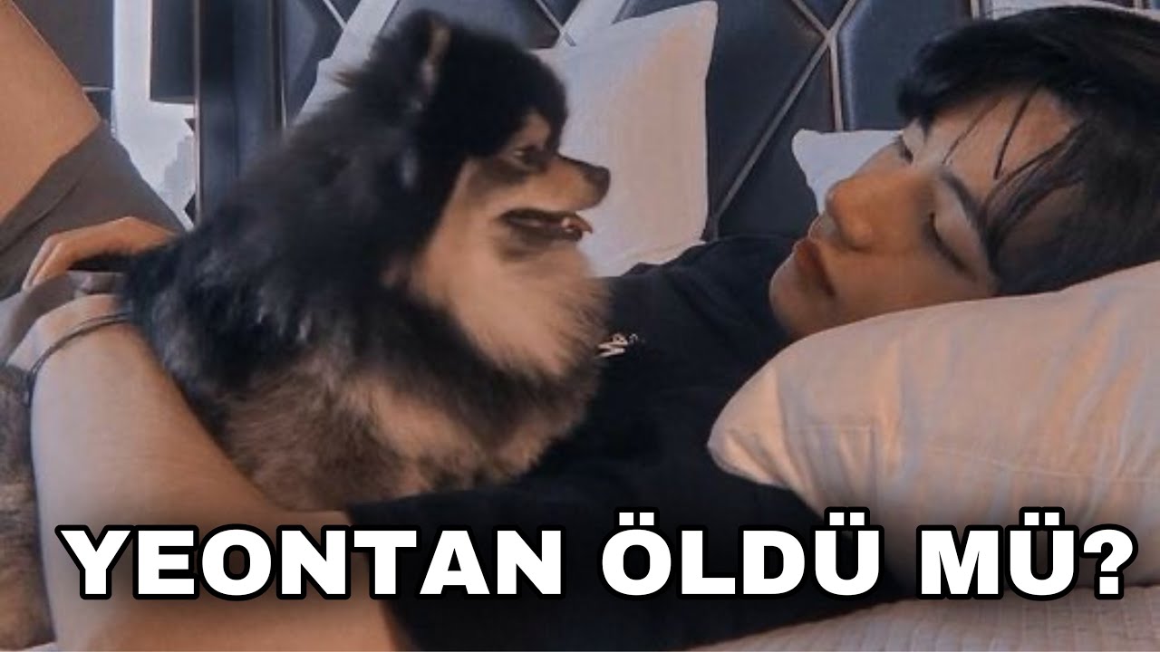 YEONTAN ÖLDÜ MÜ? bu sorunun cevabı?