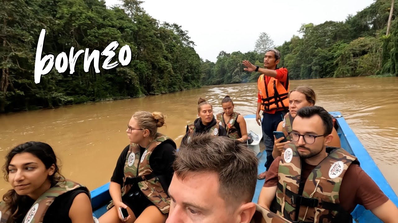 KINABATANGAN RIVER — 3-Day Wildlife Cruise (BORNEO) 🇲🇾