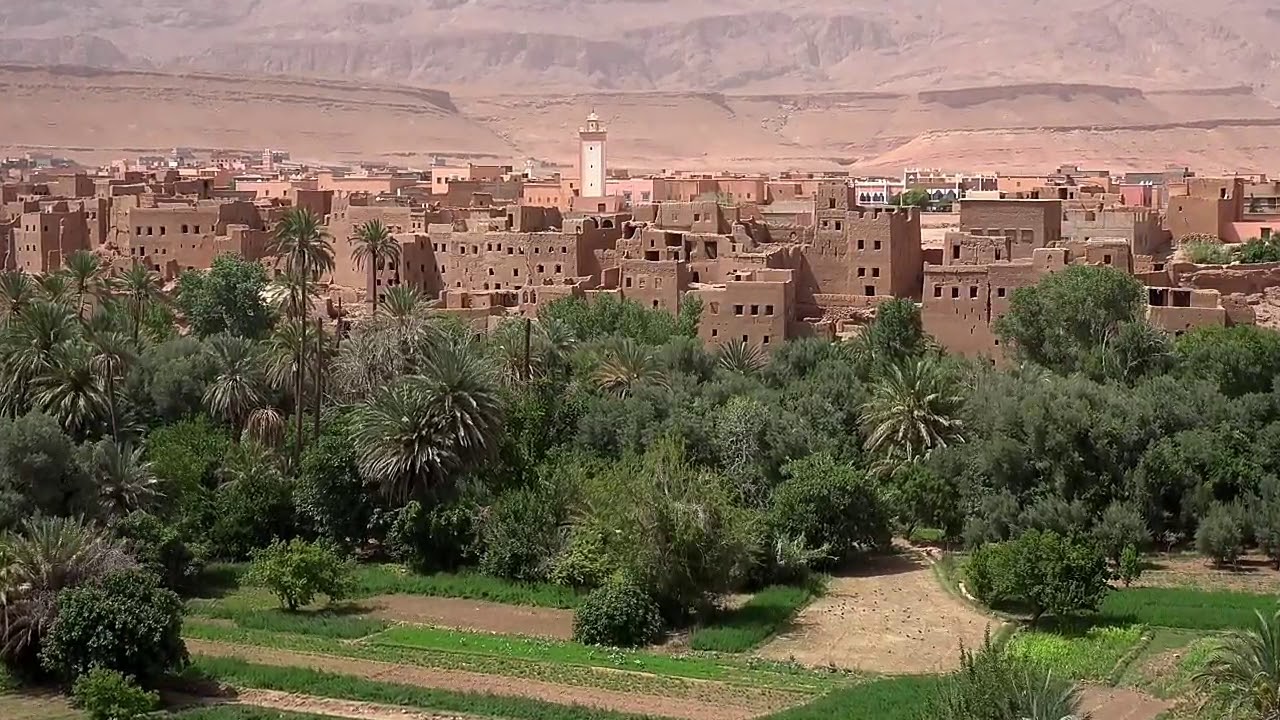 Tinghir palms grove🌴🌴 in southern Morocco🇲🇦 #morocco #maroc #marokko #maruecos #المغرب