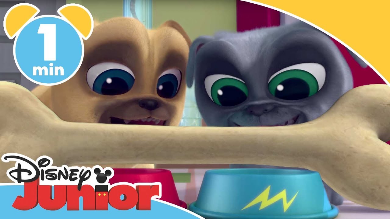 Valpevenner | ♫ Introsang - Disney Junior Norge