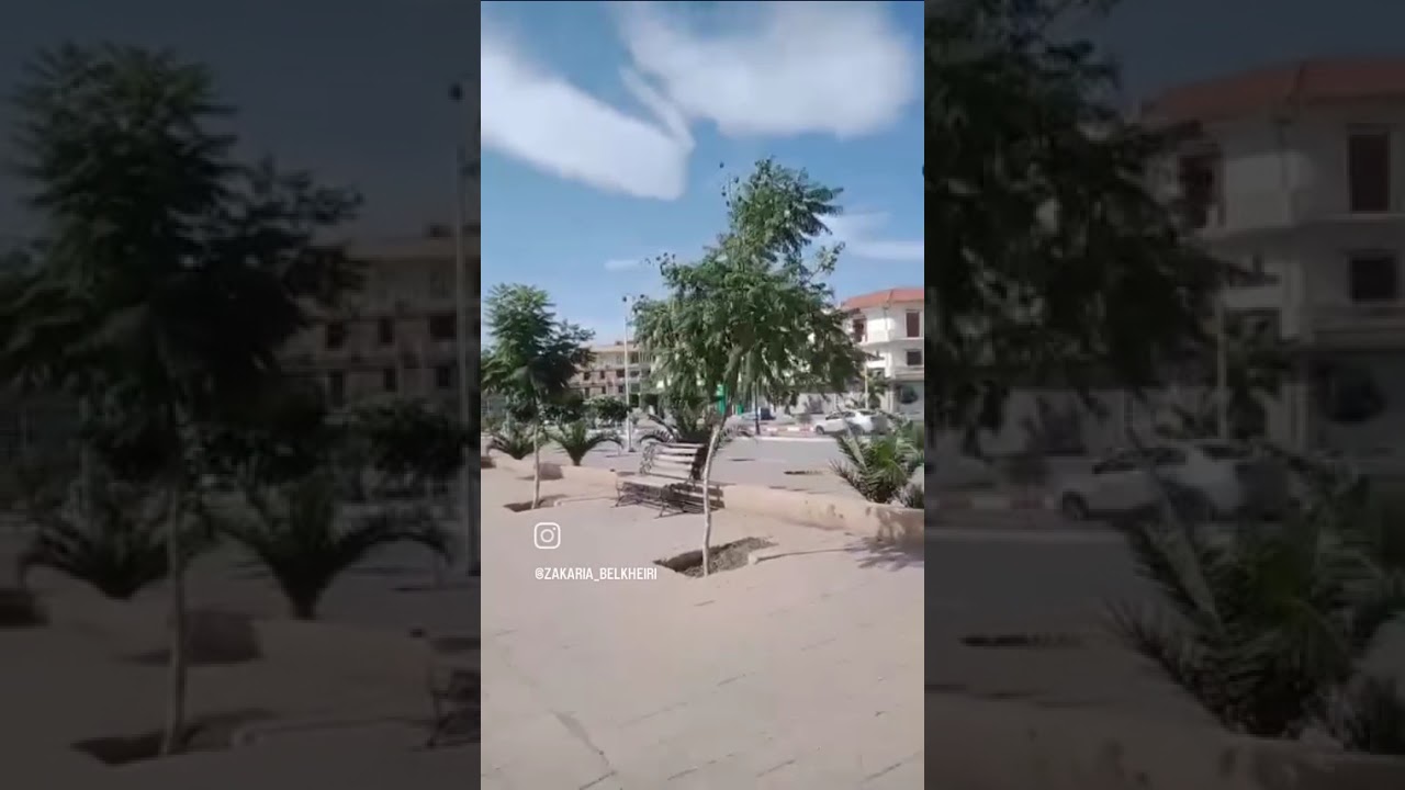 أشجار الجاكراندا في مدينة برج بوعريريج صورت الفيديو سنة 2024م #رأس_الوادي_الخضراء 