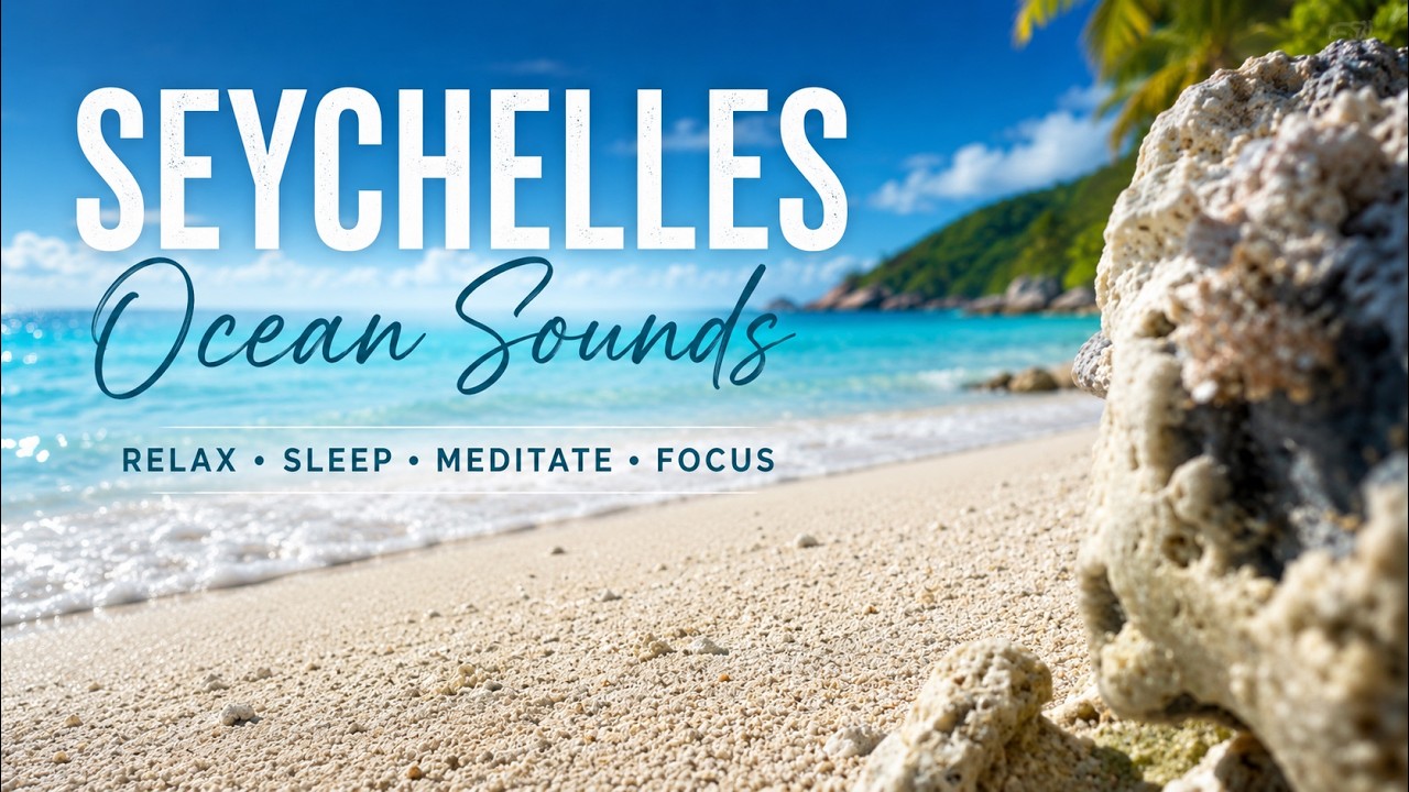 Relax with the Ocean Waves on a serene beach in the Seychelles | No Music