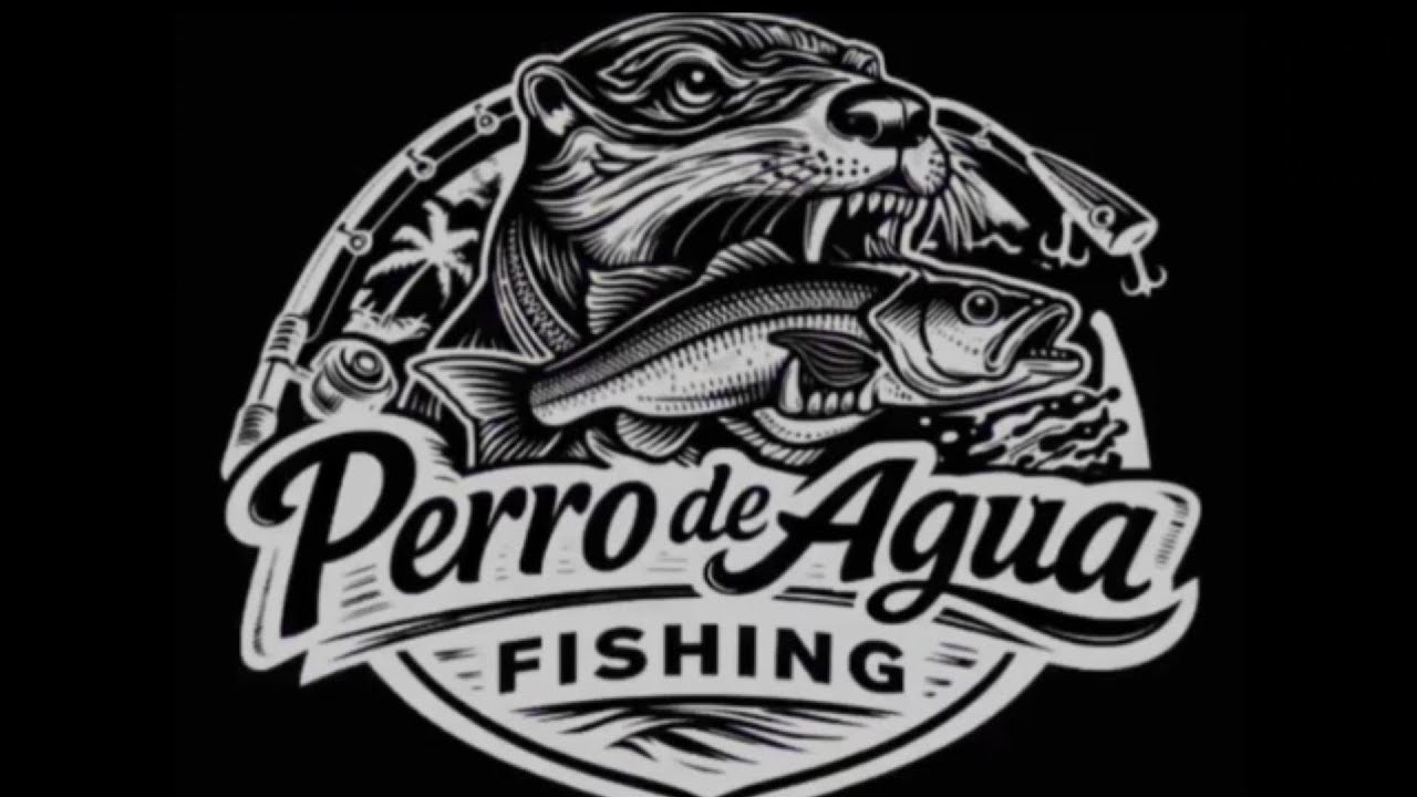 Manchón de makabiles!!!...(ladyfish)#fishing #pesca #playa #ladyfish #reels 