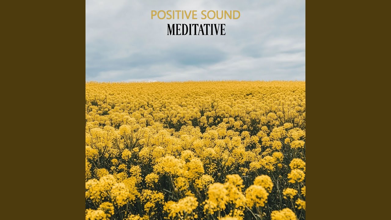 The Meditate