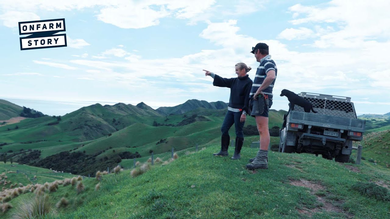Farming, Contracting, and Glamping on the Kaikoura Coast | On Farm Story