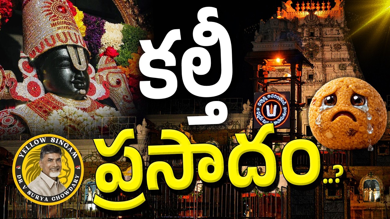 Tirumala Laddu Viral Song : Yellow Singam