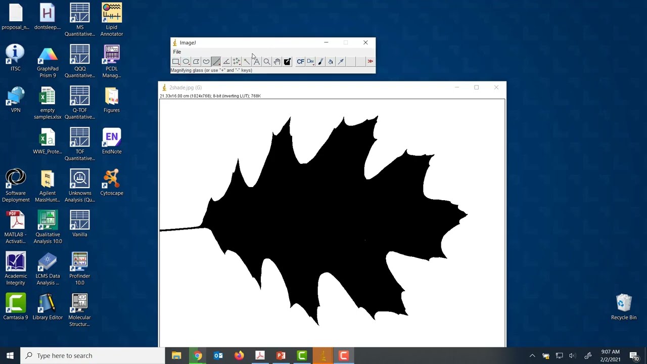How to use ImageJ for Measuring Leaf Area and Perimeter