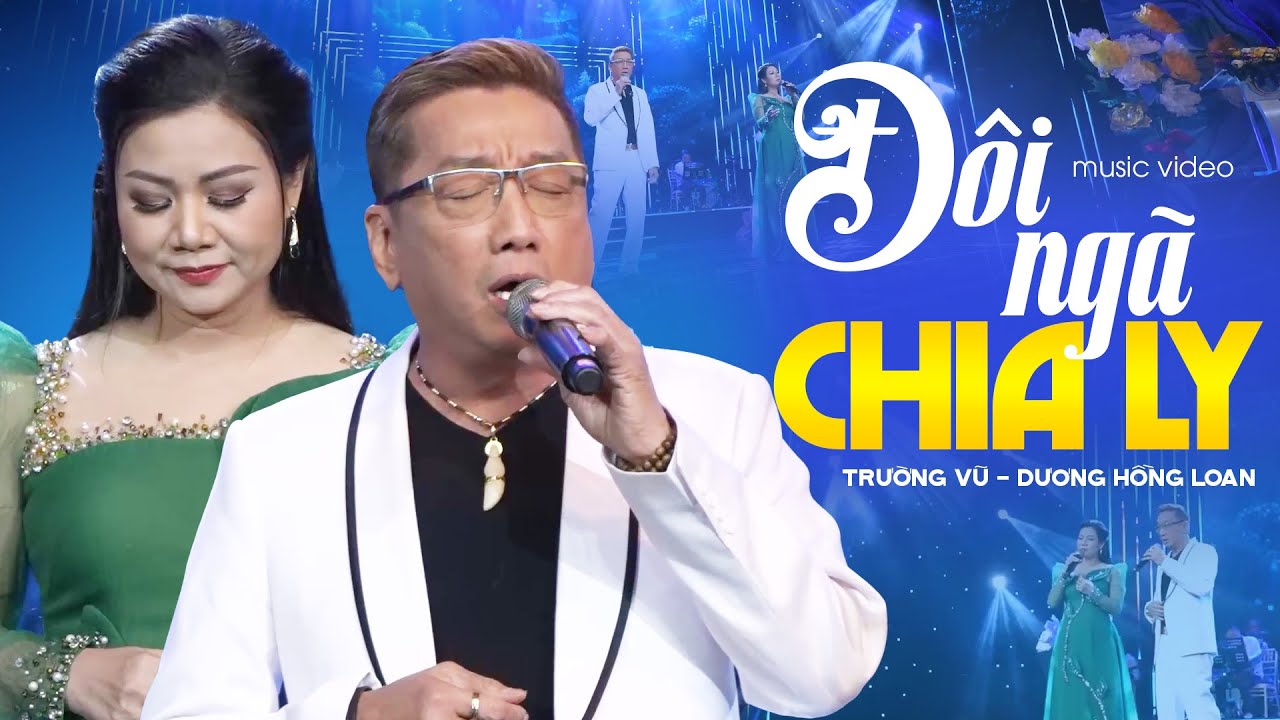 Đ&ocirc;i Ng&atilde; Chia Ly - Trường Vũ, Dương Hồng Loan | 2 Anh Em Song Ca Ng&acirc;y Ngất Triệu Tr&aacute;i Tim