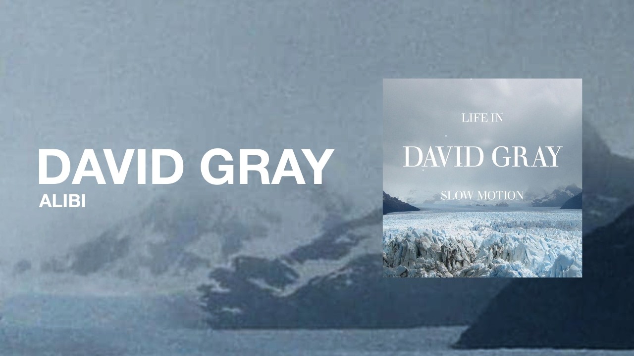 DAVID GRAY - Alibi (Official Audio)
