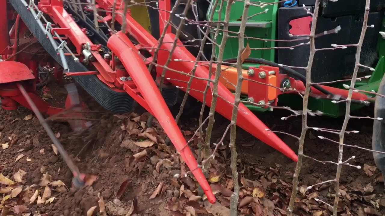 Tree digging at Riverina Nursery 2018