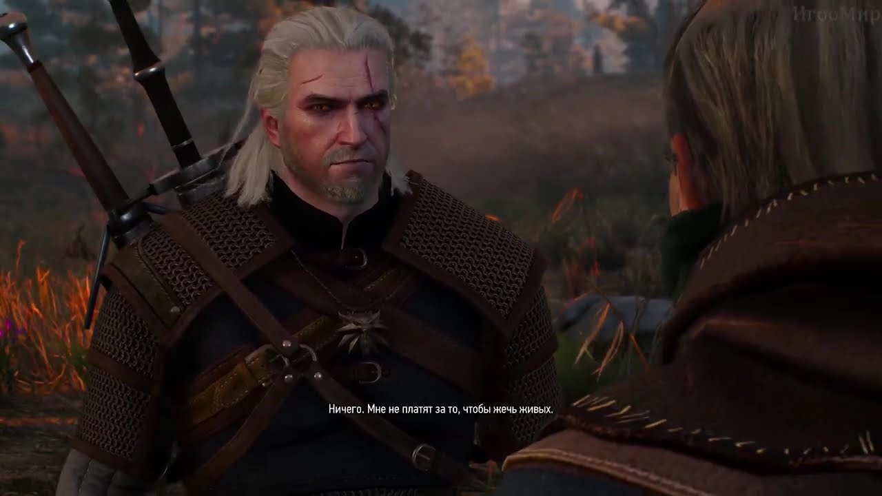 The Witcher 3 №2