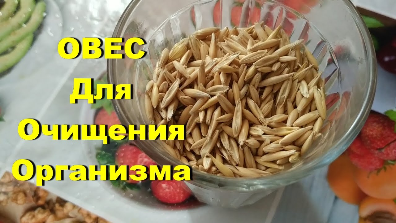 ОВЕС ДЛЯ ОЧИЩЕНИЯ ОРГАНИЗМА. НАСТОЙ ИЗ ОВСА ЧТОБЫ ПОХУДЕТЬ