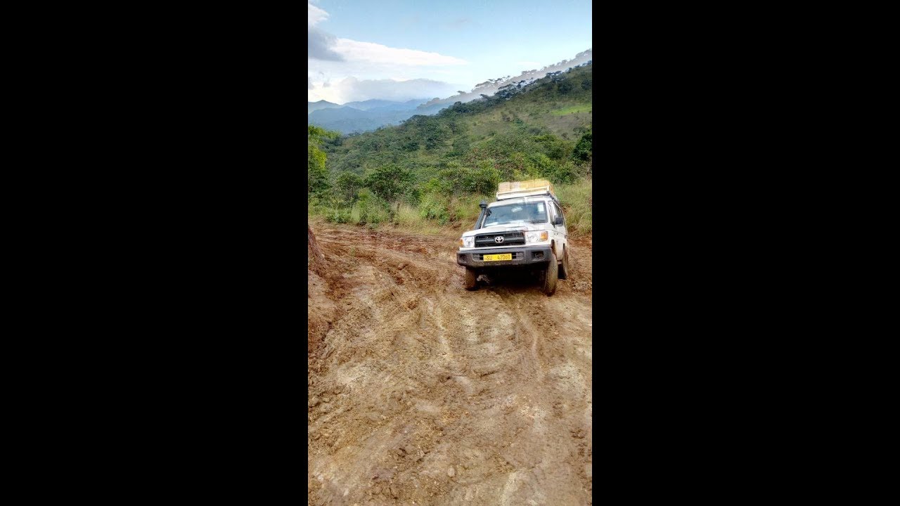 MSD - Matumizi  ya magari mapya