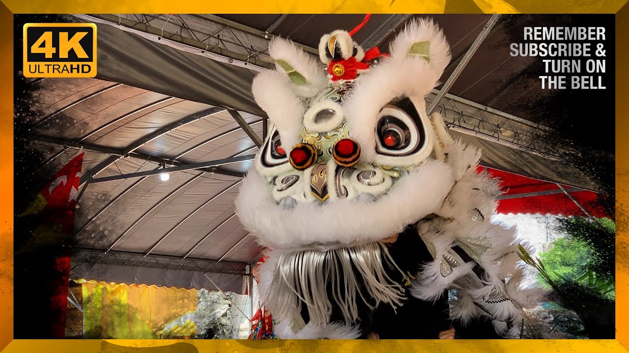 FINAL Traditional Lion Dance 2023 // 雪蘭莪公中校友會龍獅團