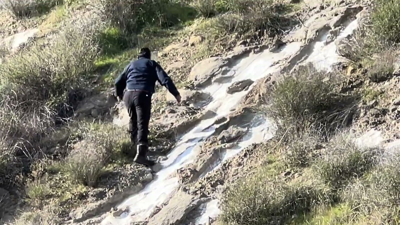 En las montañas un gato montes y NINO escalando la montaña 