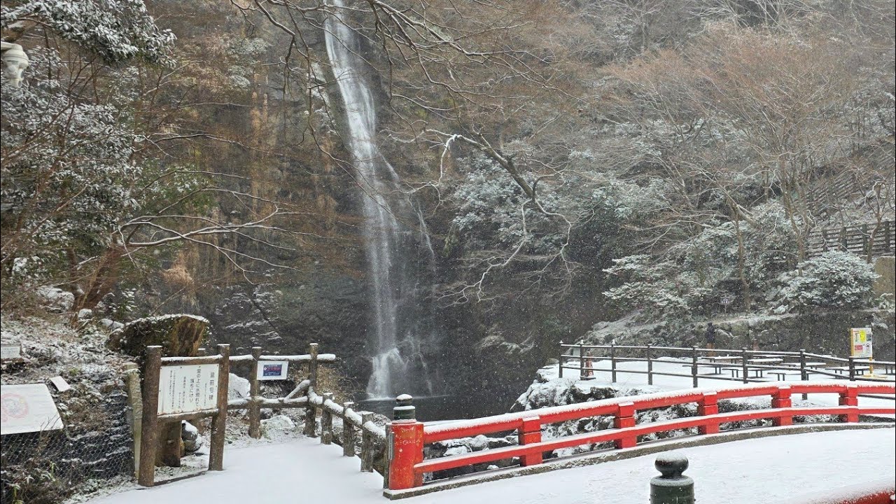 箕面滝道おもしろ動画　　　雪が降る滝道、睦月の朝