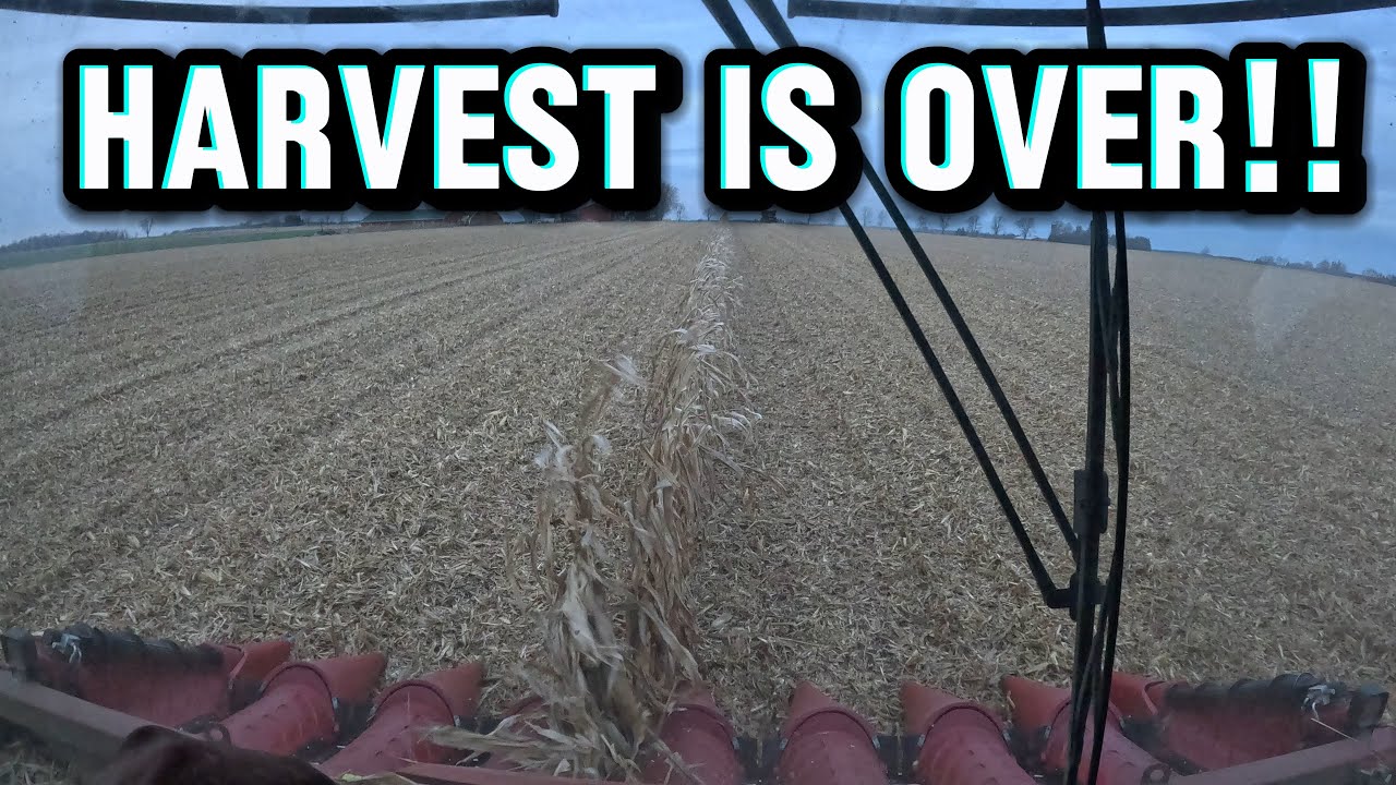 Последние восемь плюс один!!