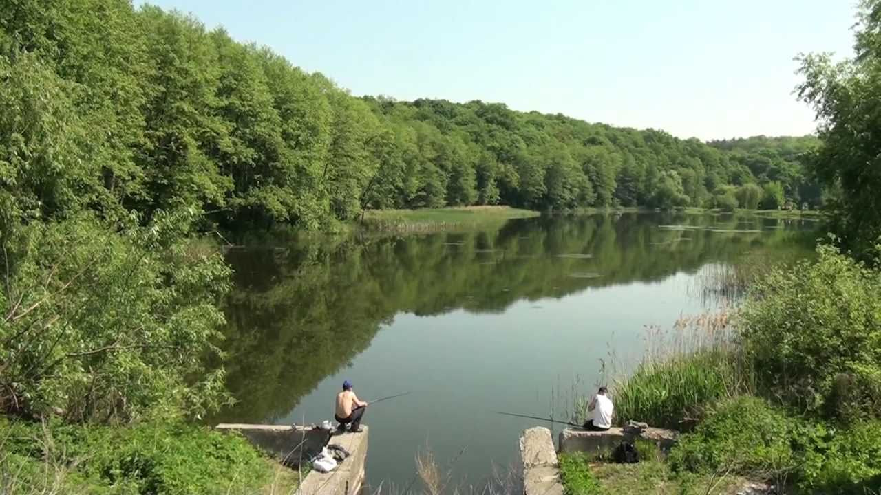 Киев, Голосеево-Китаево-Пирогово-ВДНХ