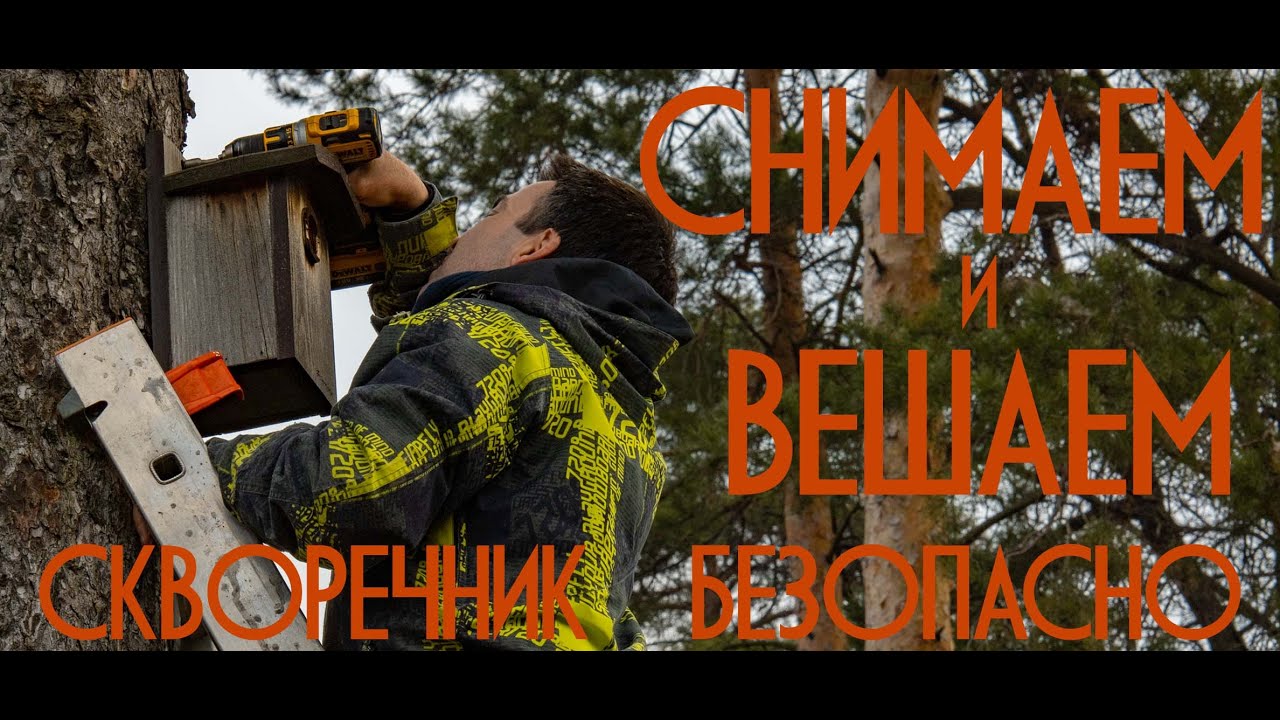 Как снять, почистить, повесить искусственное гнездовье-скворечник, безопасно для человека и дерева.