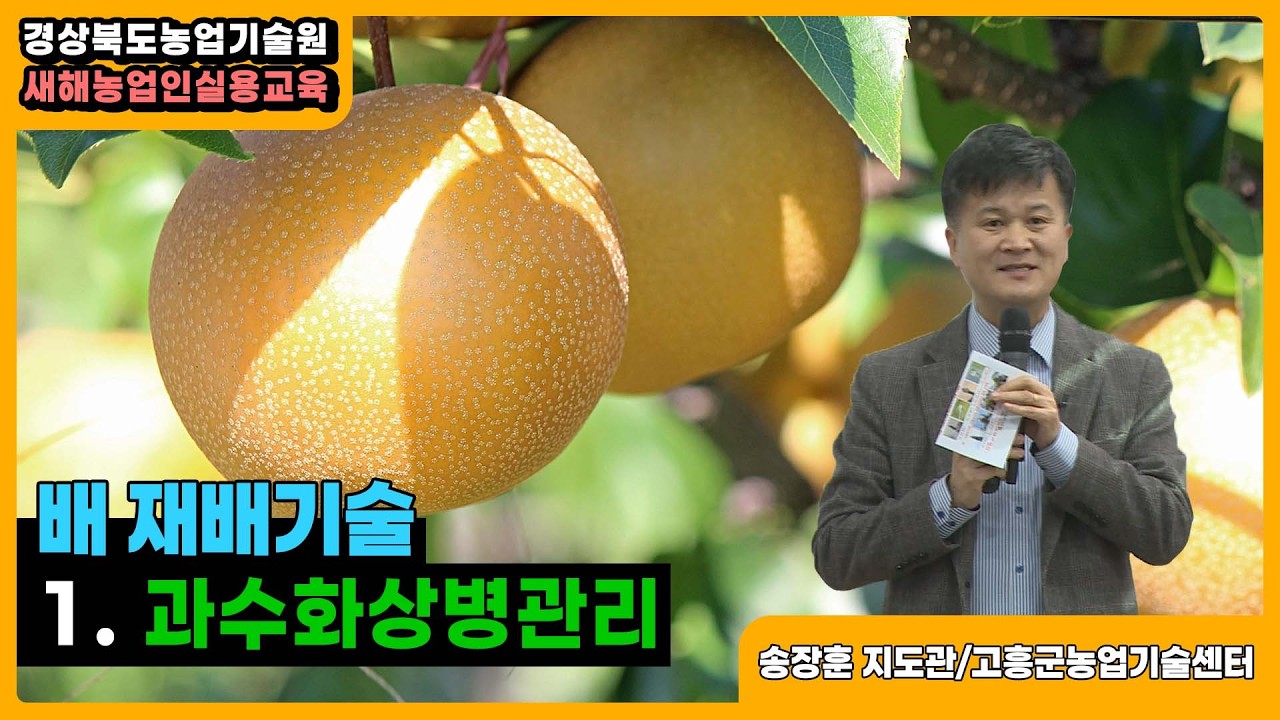 배 재배기술 - 1. 과수화상병관리