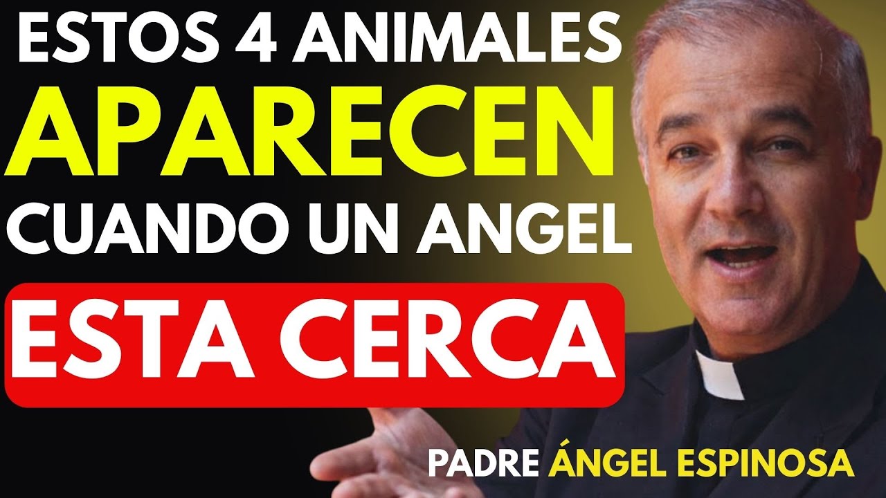 4 ANIMALES QUE APARECEN CUANDO UN ÁNGEL ESTÁ CERCA | PADRE ÁNGEL ESPINOSA DE LOS MONTEROS