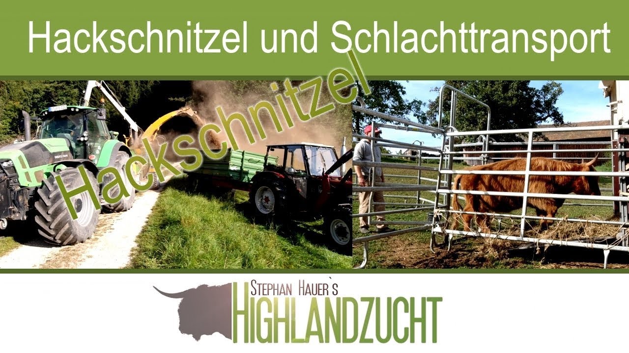 VLOG#11: Hackschnitzel und Schlachttransport - Stephan Hauer`s Highlandzucht