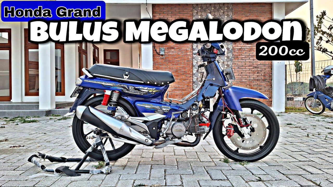 Honda Grand Bulus Megalodon Kop Boring Standart Tiger | 