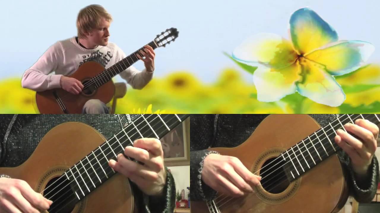 Faxanadu – Password Screen | NES 8-bit Classical Guitar Cover (Tabs in the description)