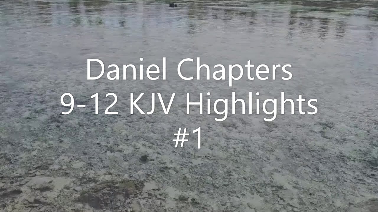 Daniel Chapters 9-12 KJV Highlights #1
