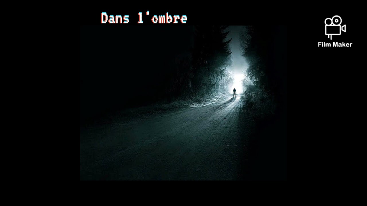 dans L'ombre // 2026 