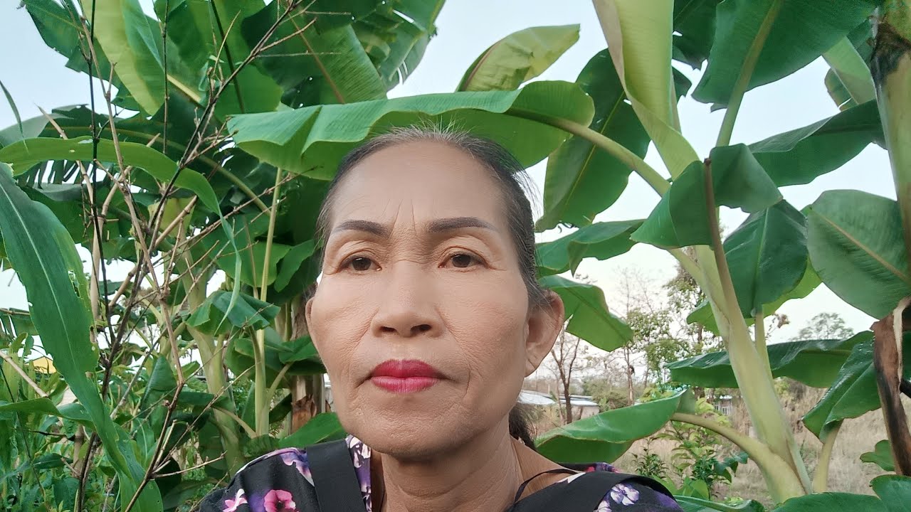 สด   เข้าสวนยามเช้า