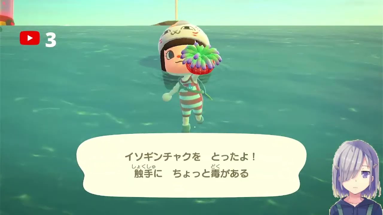 【あつ森】カブ648！チャンネル登録、高評価で参加可能！
