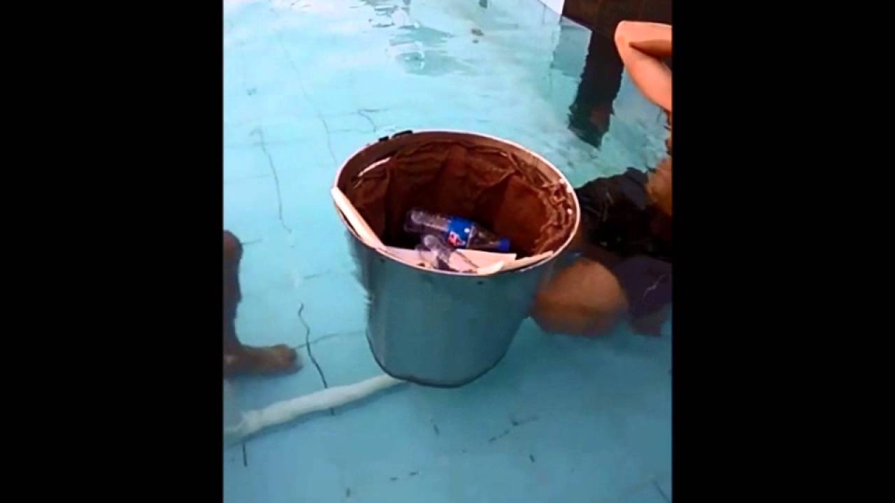 Seabin Demonstration