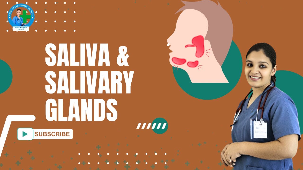 Saliva & Salivary Glands | Neeru Mam | Shri Balaji Nursing Institute  #salivaryglands #cabe