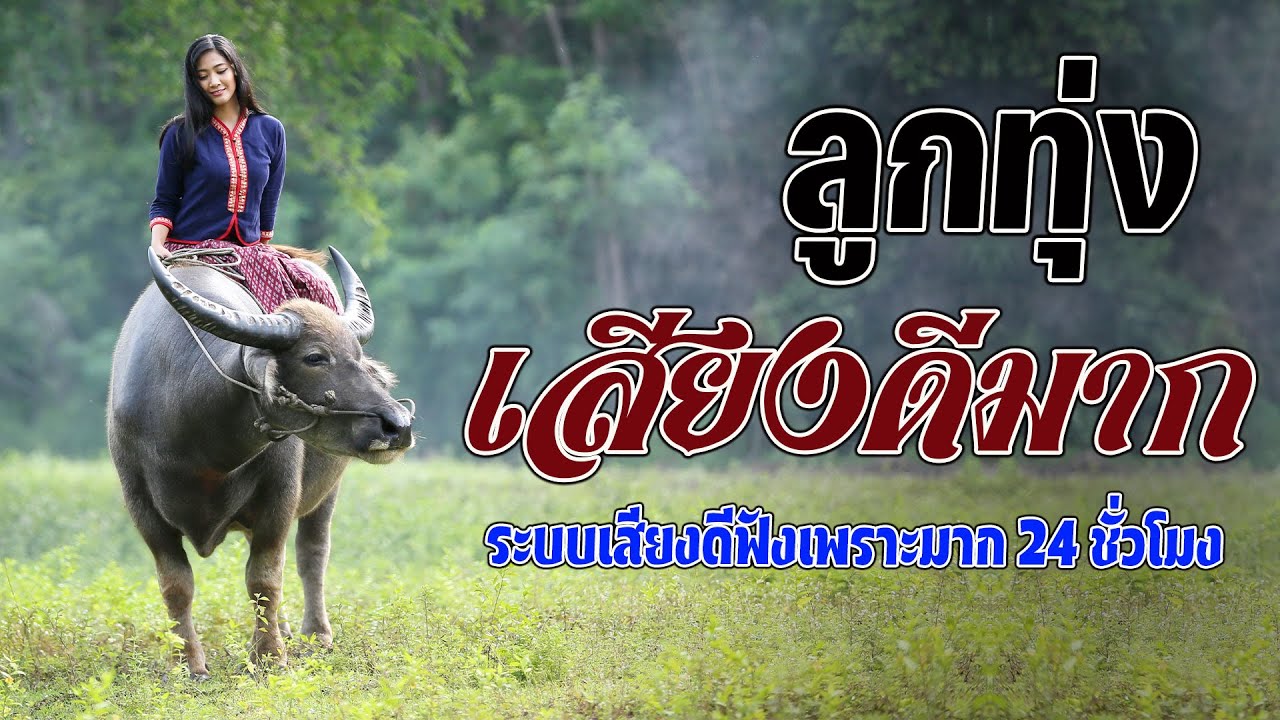 ลูกทุ่งเสียงดีมาก ระบบเสียงดีฟังเพราะมาก คัดพิเศษเพลงลูกทุ่งฟังเพราะ 100% #เสียงดี