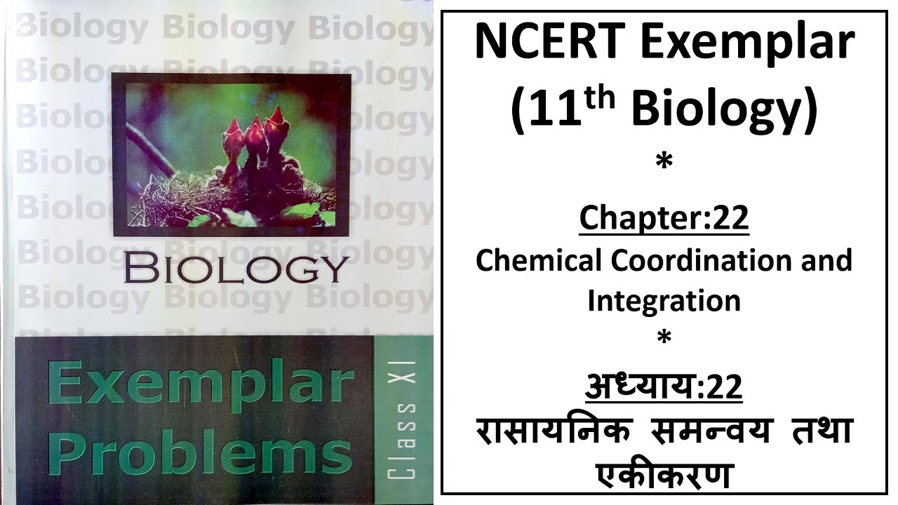 Chemical Coordination and Integration रासायनिक समन्वय तथा एकीकरण Chapter 22 || NCERT Exmplar Biology