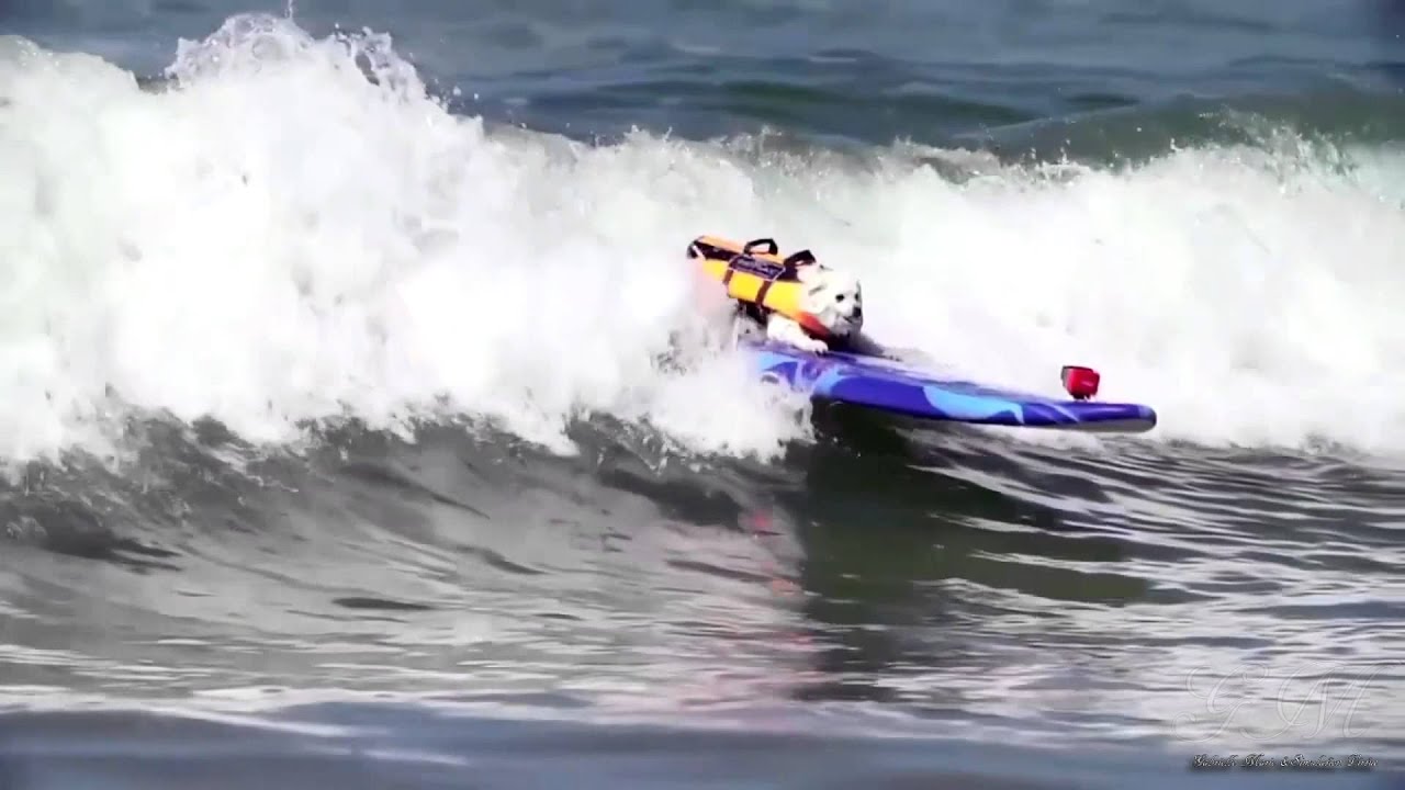 The Beach Boys ~ Catch A Wave