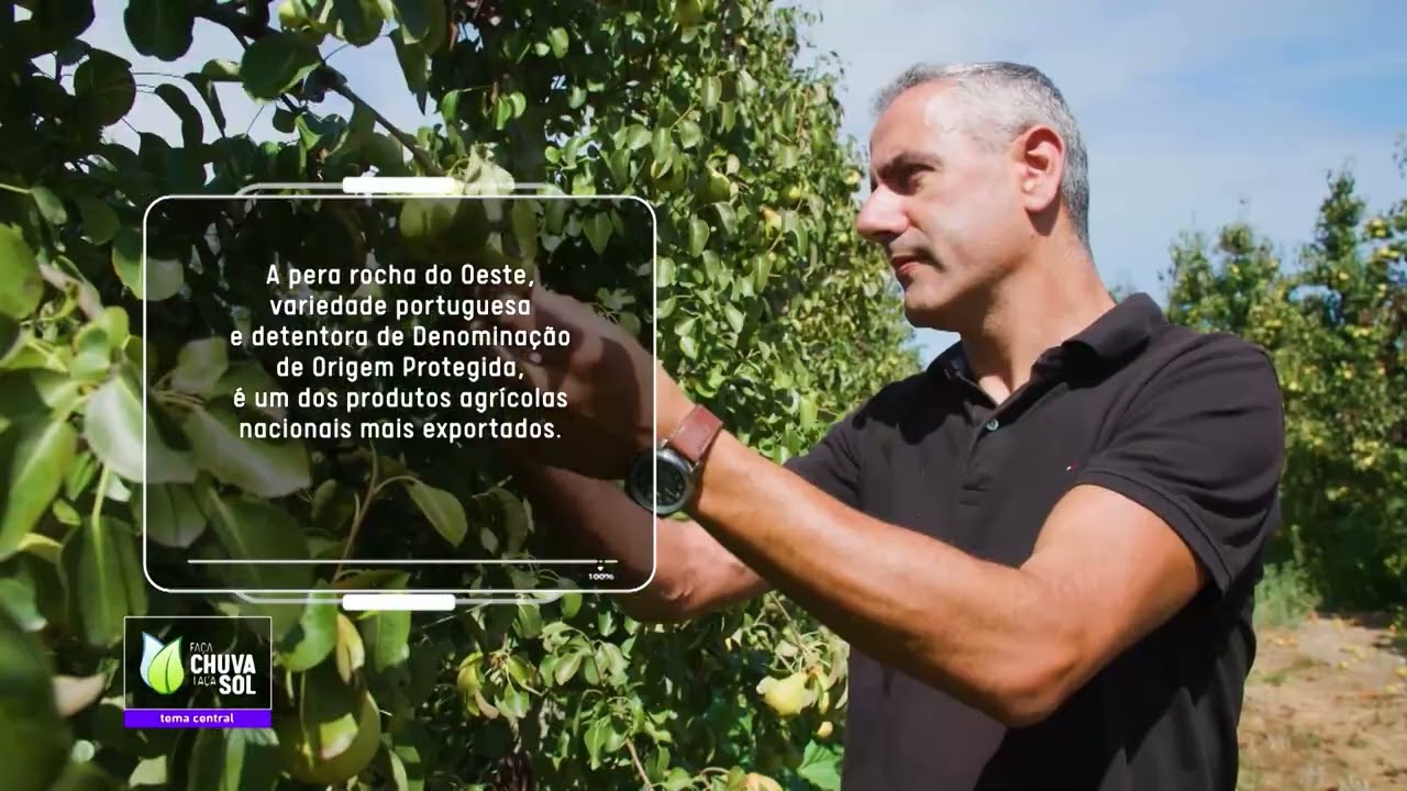 Reportagem Faça Chuva Faça Sol sobre as frutas de Verão