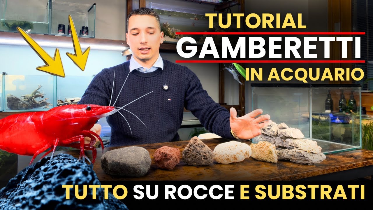 Allestimento acquario per GAMBERETTI - scopri il ruolo di ogni elemento nell’ecosistema! 
