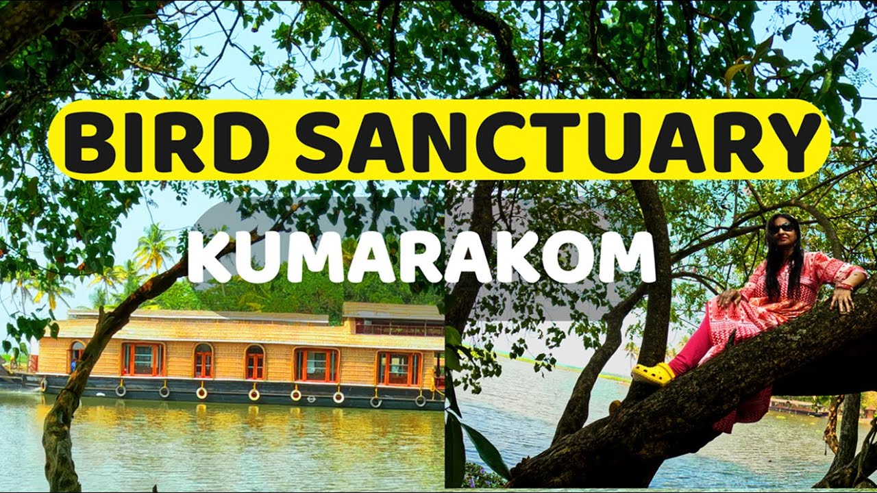 Exploring Kumarakom Bird Sanctuary 🐦 | A Hidden Paradise for Bird Lovers!