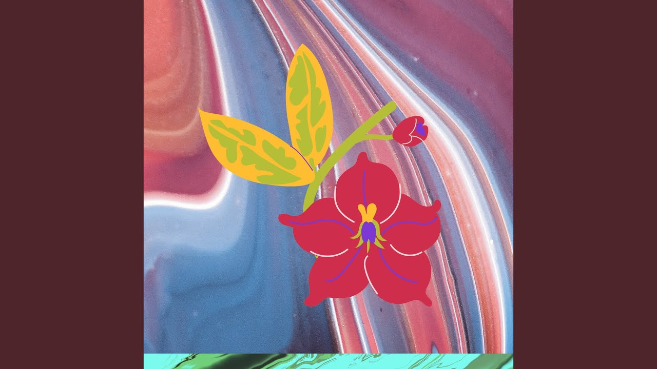 Ku kira tajir